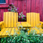 Yellow wooden bench seat against red barn wall with white and pink wildflowers